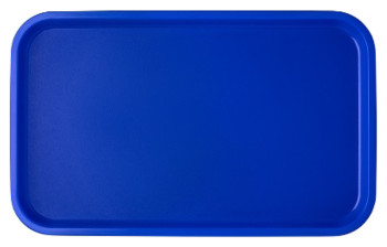 Поднос МастерГласс 1737 (525х325 мм) голубой