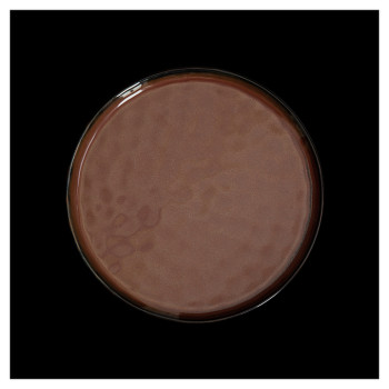 Тарелка мелкая Corone Carmen HS012570 225 мм