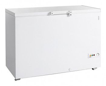 Морозильный ларь Tefcold FR405