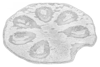 Блюдо для устриц IVV 6244.1