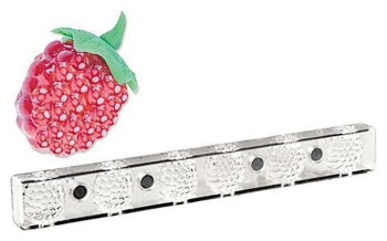 Форма для шоколада на магнитах P.L. Proff Cuisine 73038058 "Ежевика" 6 ячеек